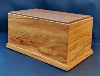 Rimu